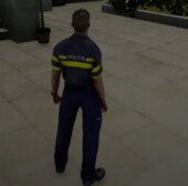 Politia Romana Skin 1